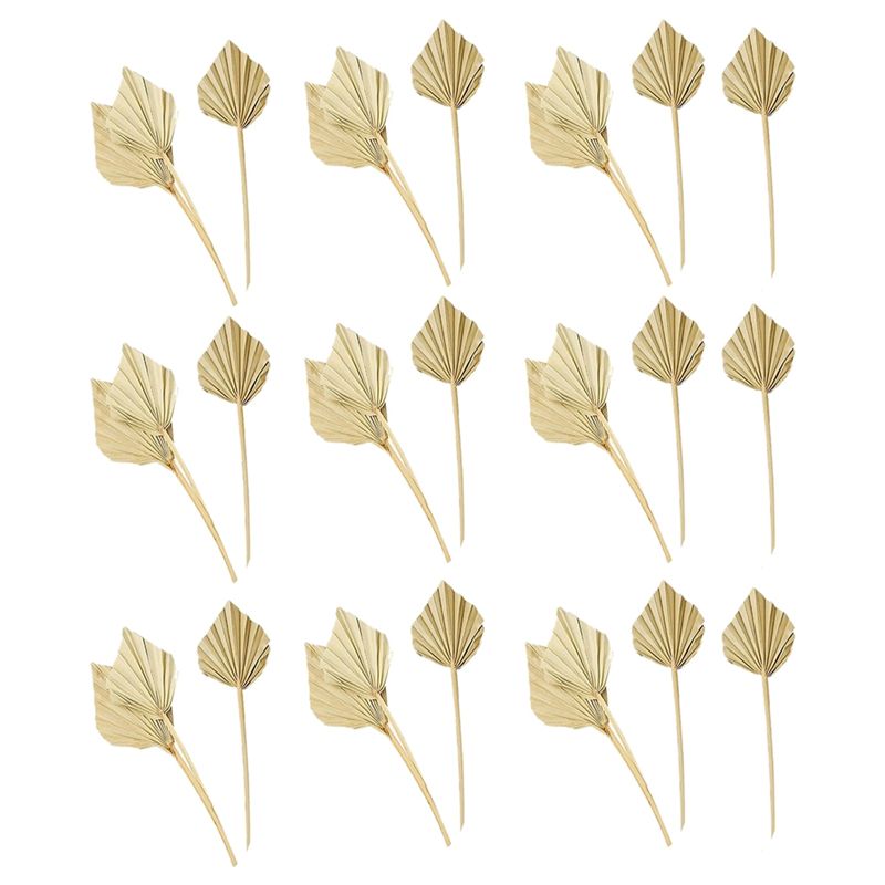 Palm Leaf Dried - A36T-30 Pcs Boho Dried Palm Spears