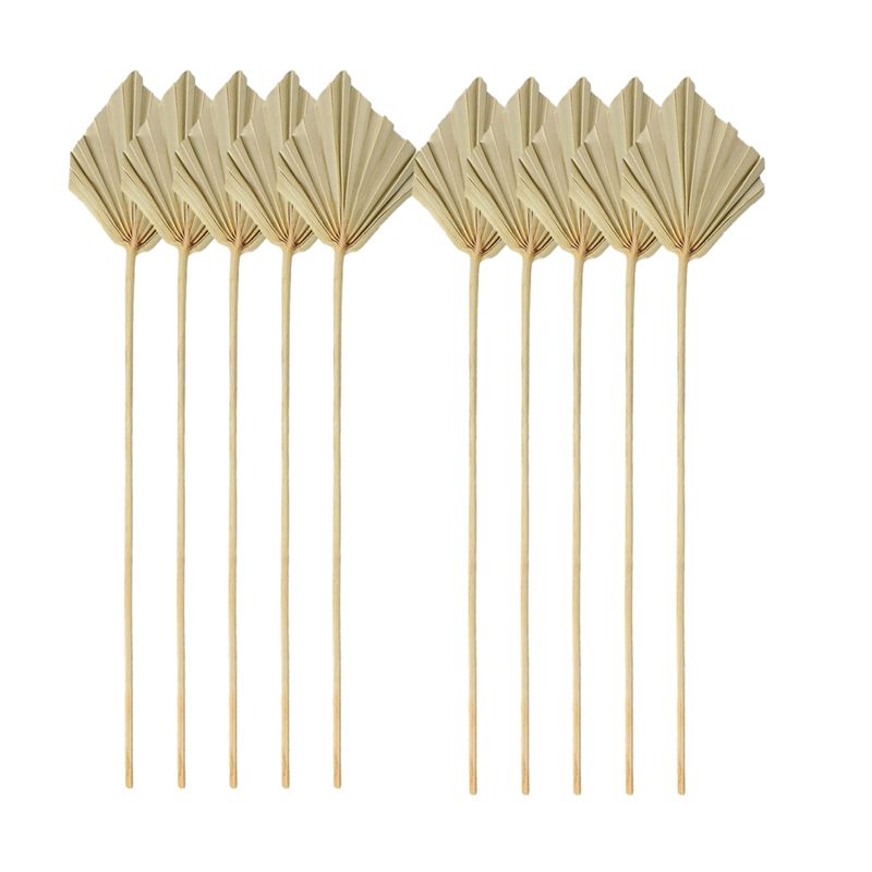 Palm Leaf Dried - A04G-Boho Dried Palm Spears Small Natural
