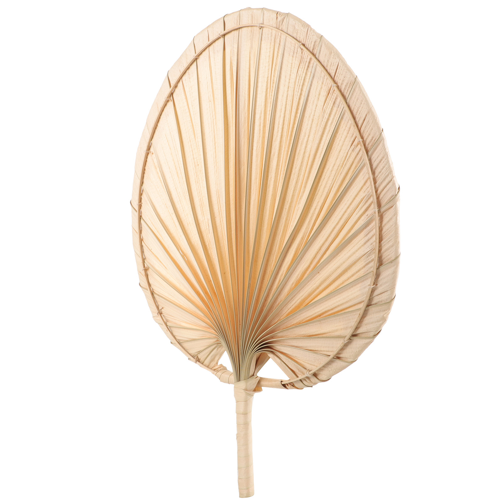 Dried Palm Leaf Hand Fan Chine - Palm Leaf Dried review and price