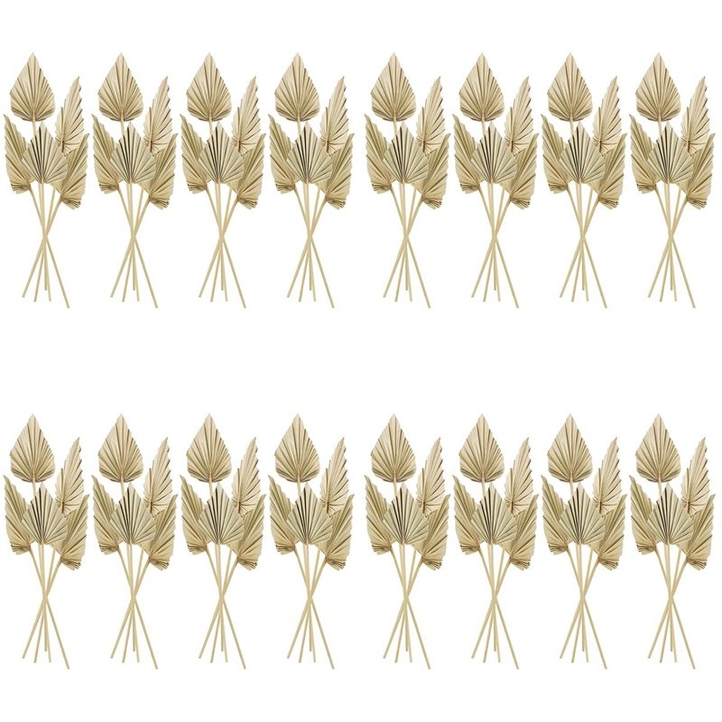 80Pcs Boho Dried Palm Spears L - Palm Leaf Dried review and price