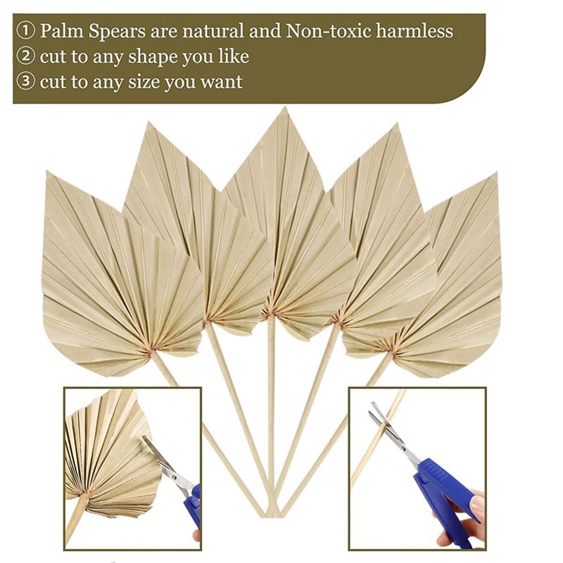 80Pcs Boho Dried Palm Spears L - Palm Leaf Dried review and price