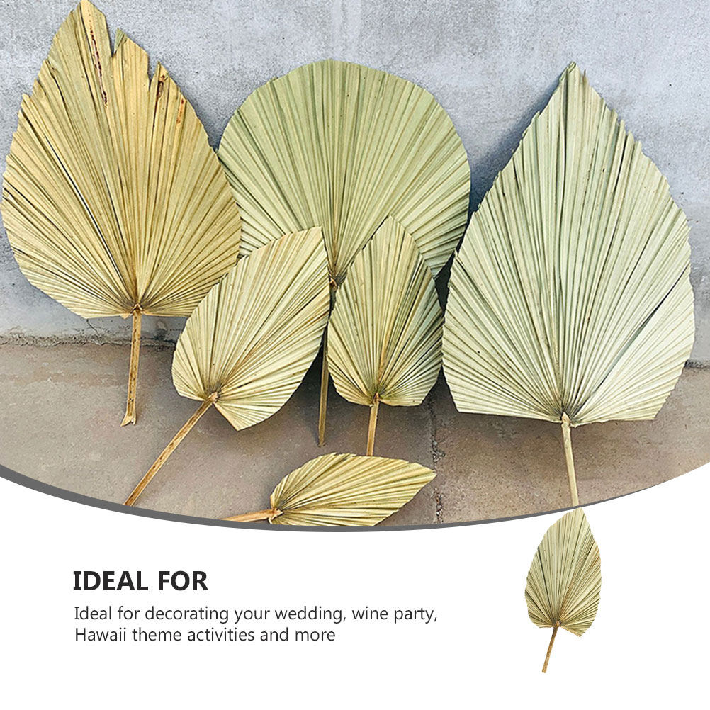 1Pcs Natural Palm Leaf Dried O - Palm Leaf Dried review and price
