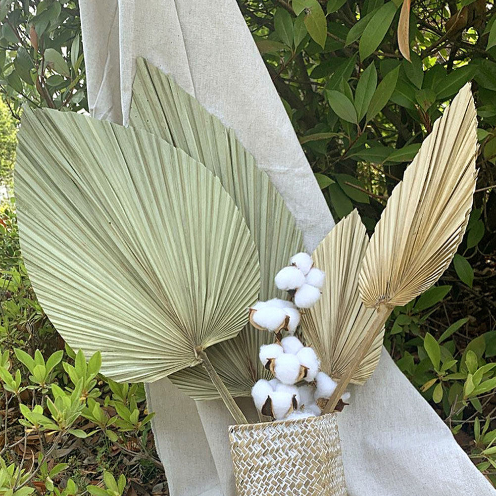 1Pcs Natural Palm Leaf Dried O - Palm Leaf Dried review and price