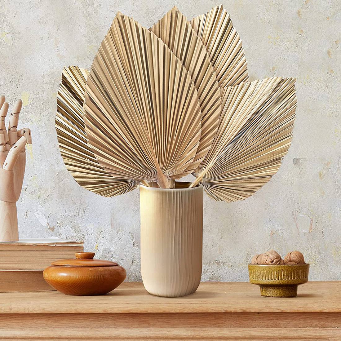 5Pcs Natural Dried Palm Leaves - Palm Leaf Dried review and price