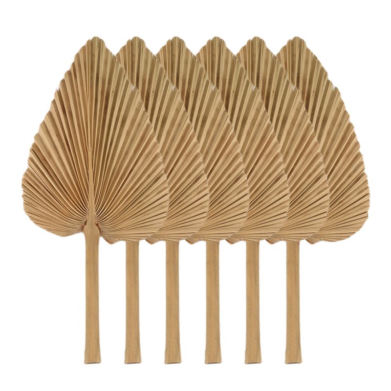 AT84-6PCS Dried Palm Leaves Na - Palm Leaf Dried review and price