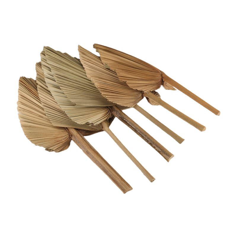 AT84-6PCS Dried Palm Leaves Na - Palm Leaf Dried review and price