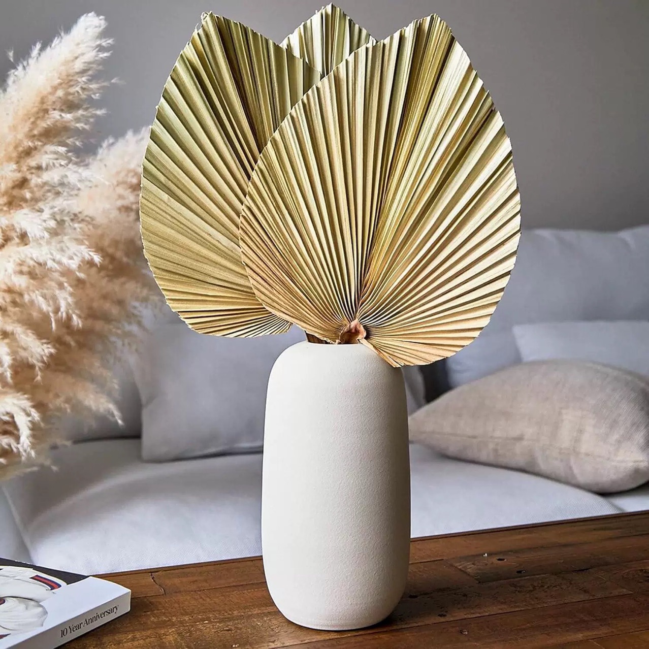 3 PCS Natural Dried Palm Leave - Palm Leaf Dried review and price