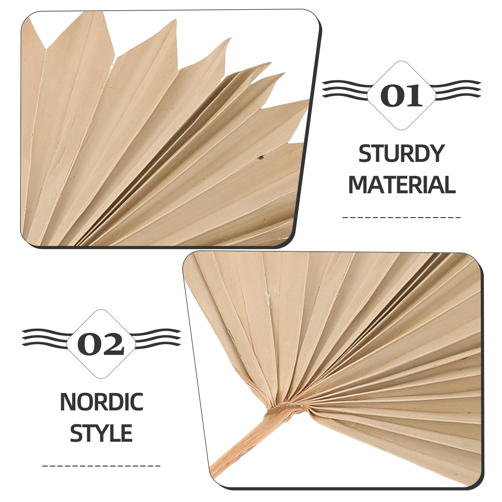 4Pcs Dried Palm Leaf Ornament  - Palm Leaf Dried review and price