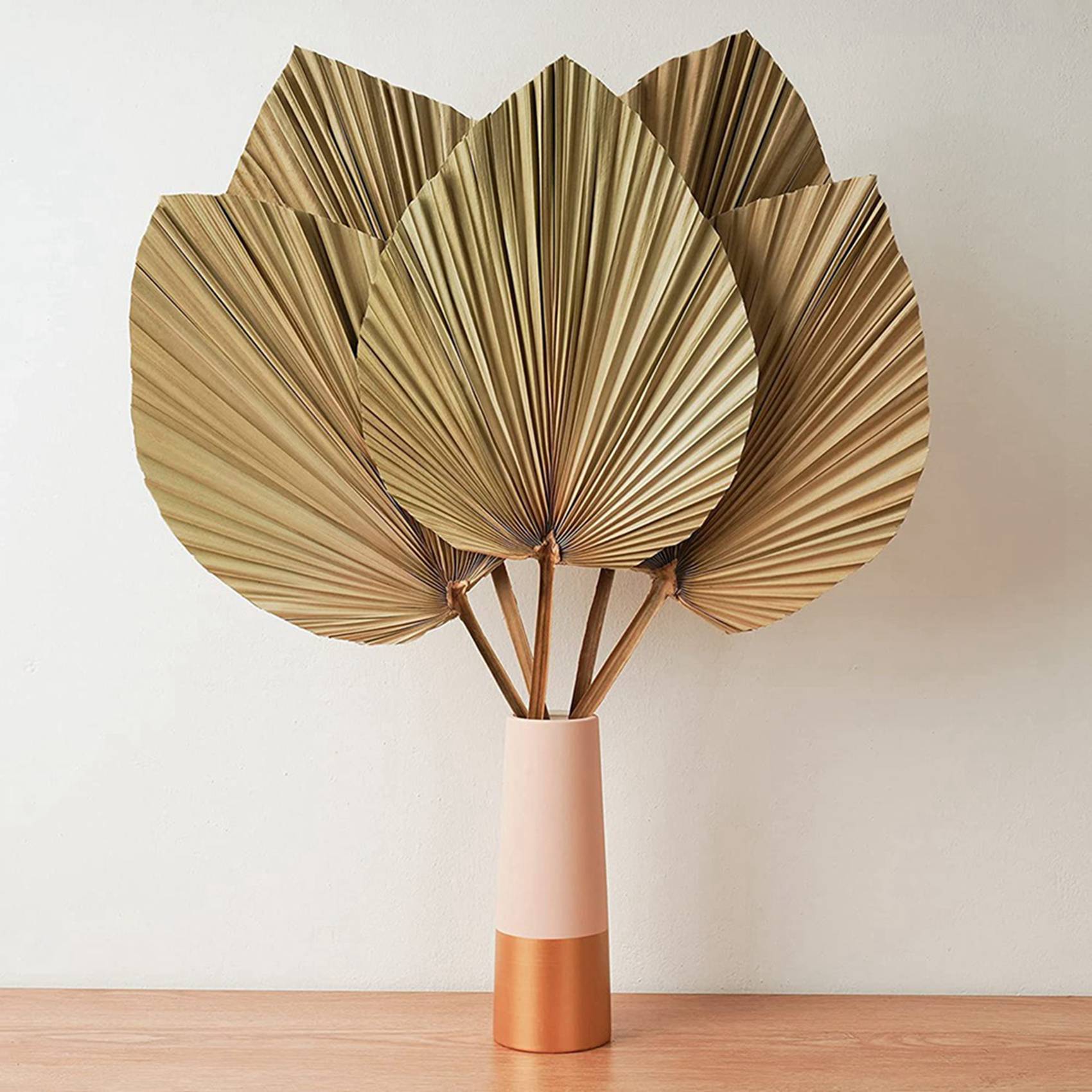 Dried Palm Leaves Room Decor 1 - Palm Leaf Dried review and price