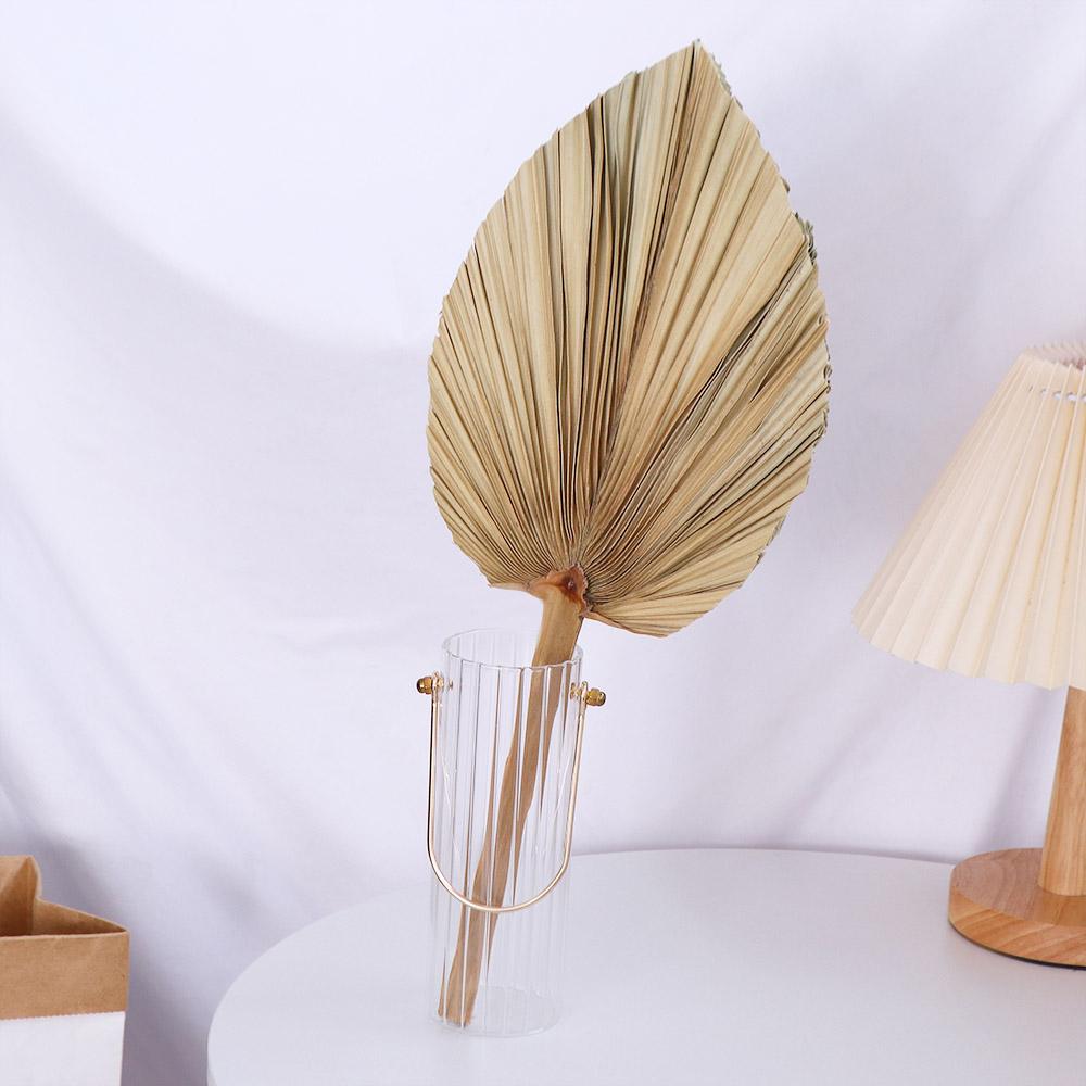 Party Office Boho Trimmed Bohe - Palm Leaf Dried review and price