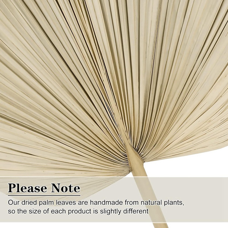 New 6PCS Dried Palm Leaves Nat - Palm Leaf Dried review and price