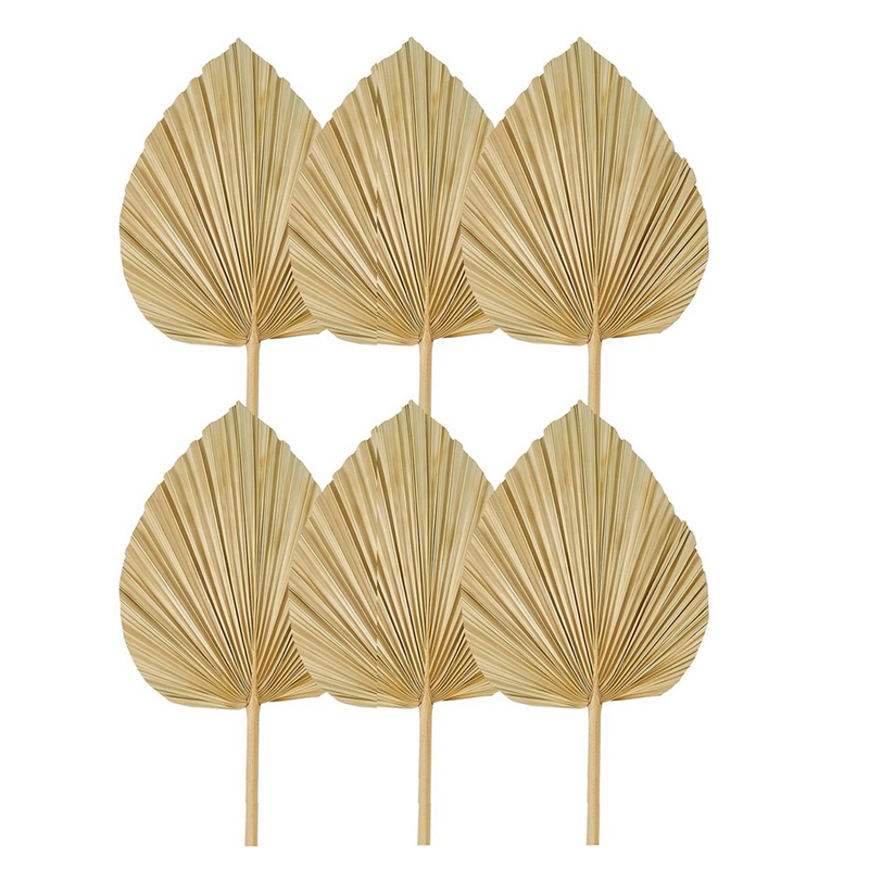 New 6PCS Dried Palm Leaves Nat - Palm Leaf Dried review and price