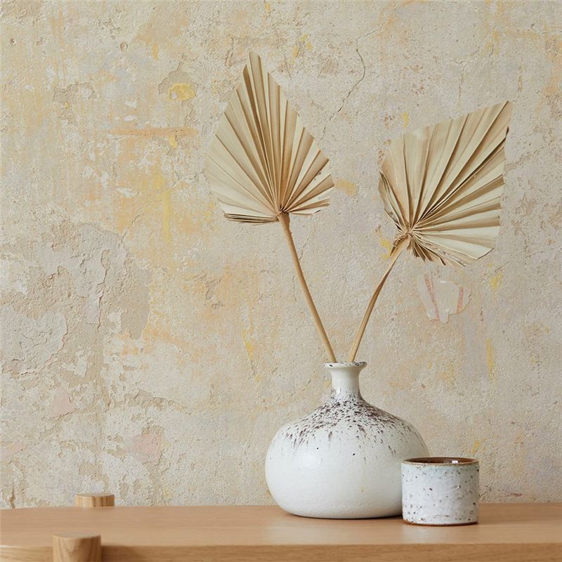 A04G-Boho Dried Palm Spears Sm - Palm Leaf Dried review and price