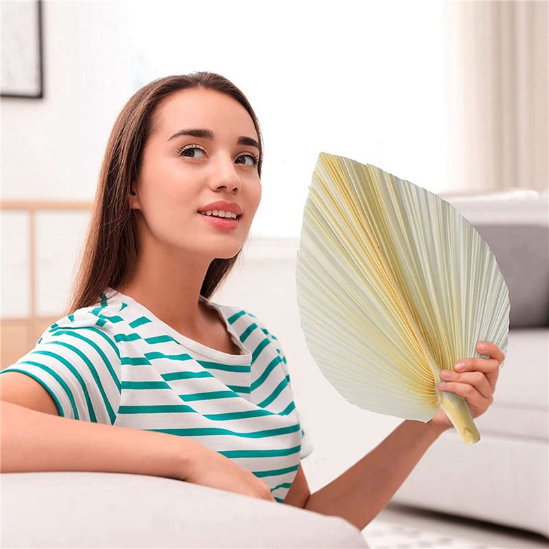 Large White Dried Palm Leaves  - Palm Leaf Dried review and price